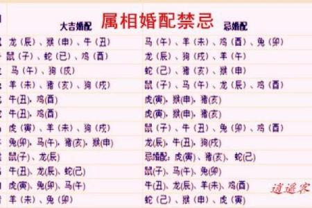 12生肖算命婚姻配对(12生肖算命婚姻配对牛配虎)
