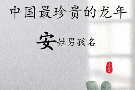 安字取名(安字取名男孩有寓意)