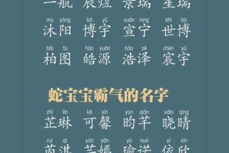 2025春蛇王姓男孩名字(王姓蛇宝宝好听名字)