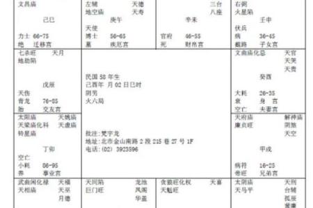紫微斗数命格(紫微斗数命格查询免费)