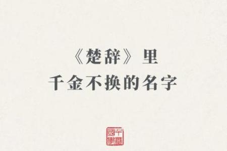 楚辞500名字 男孩(楚辞500名字 男孩属龙胡姓)