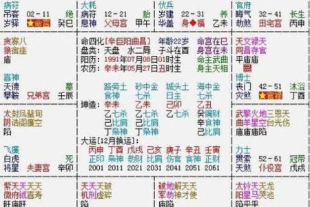 易德轩紫微斗数排盘(紫薇斗数易安)