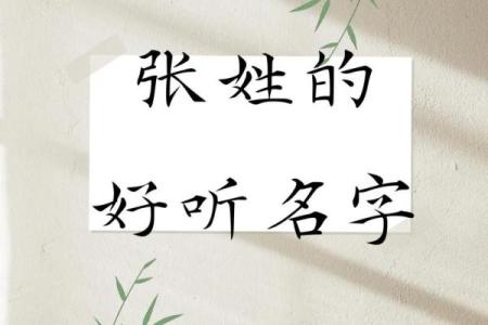 100分张姓女孩名(100分张姓女孩名23年的出生)