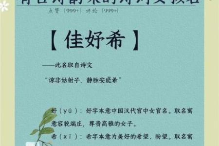 带诗的高雅女孩名字(带诗的高雅女孩名字有哪些)
