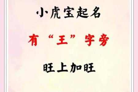 虎宝宝取名字最佳字(虎宝宝取名字最佳字女孩)