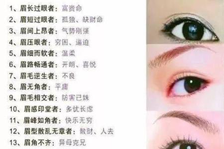 风水眉毛的讲解(风水眉毛的讲解图解)