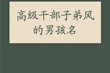 高姓100分取名男孩