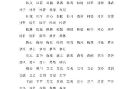 带木的女孩名字(带木的女孩名字简单大方洋气)
