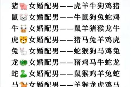 男鼠和女鸡相配婚姻如何(男鼠和女鸡的婚姻状况)