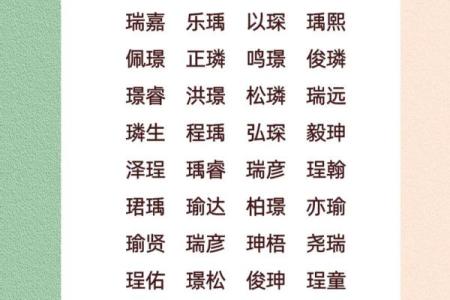 95分以上王姓男孩名(王姓男孩起名化100分)