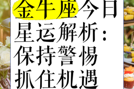 今天金牛座运势(今天金牛座运势查询)