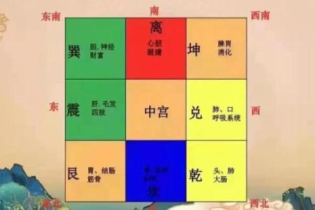 厨房在西北角的风水禁忌有哪些(厨房在西北角的风水问题)