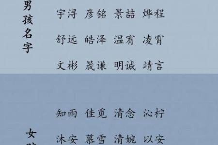 孩子起名2025男孩(小孩取名大全男孩2015年免费)