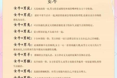 牛女和牛男相配婚姻如何(牛女配牛男的婚姻好不好)