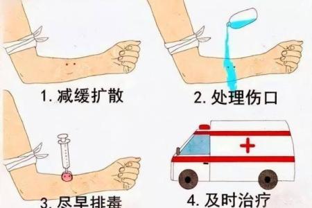 梦到被大蛇咬是什么征兆 男性