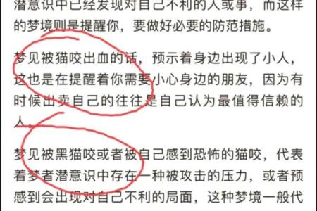 女人梦见猫身上有虫子是什么预兆