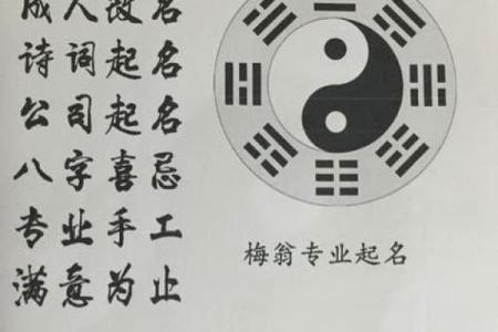 免费公司测名(名霸免费公司测名)