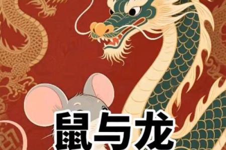 鼠和龙女相配婚姻如何(鼠和龙女做夫妻)