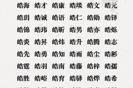 宝盖旁最旺男孩名字(宝盖字头最吉利的字男孩)