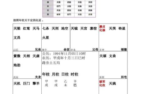紫微斗数免费命盘(紫微斗数免费命盘)