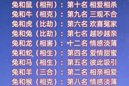 猴和兔相配婚姻如何(87年的兔子一生的婚姻如何)