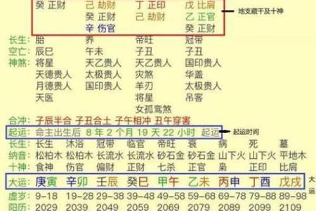 国学八字排盘(国学八字排盘怎么样)