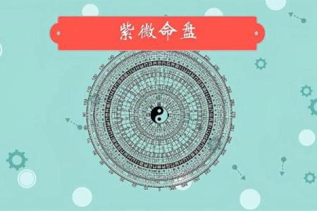 台湾紫微斗数windada(台湾紫微斗数在线排盘免费)