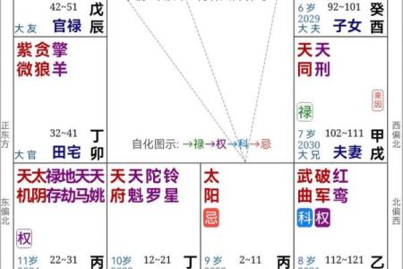许铨仁紫微斗数(许铨仁紫微斗数命理学正解)