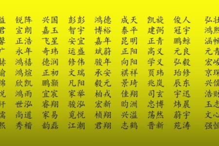 狗宝宝取名字最佳字(狗宝宝取名字最佳字女孩)