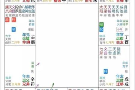 北派紫微斗数(北派紫微斗数取用神)