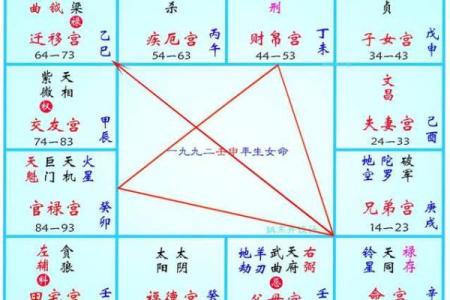 紫微斗数全星一览表(紫微斗数入门基础知识)