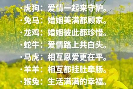 鼠和羊属相配婚姻如何(鼠和羊相配婚姻如何能走到最后吗)