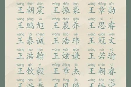 2025王姓最旺女孩名字(2020年姓王的女孩名字)