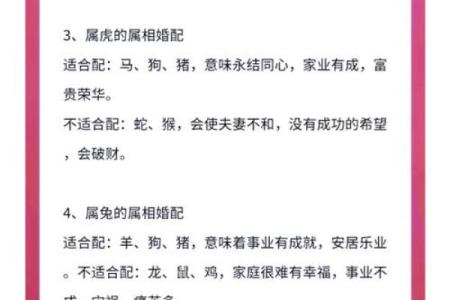 婚姻生肖配对查询(婚姻生肖配对查询表)