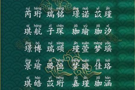 2025男宝宝取名字寓意好的字(2025男宝宝取名字寓意好的字陈)
