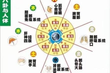 关于风水的小说(关于风水的小说有张家小子和虎子及蛇的小说名字)