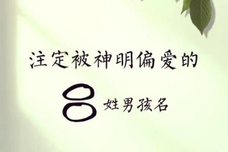 吕姓男孩起名(吕姓男孩起名96分以上)