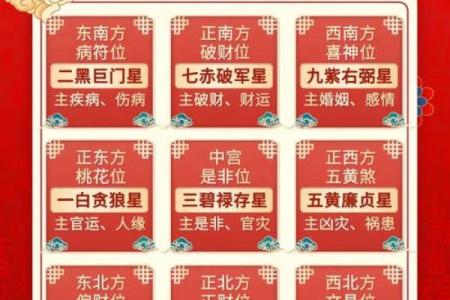 玄空飞星的各种星组合解析(玄空飞星的各种星组合解析2025年飞星组合)