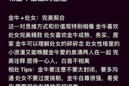 金牛男和金牛女配对指数(金牛男和金牛女配吗)