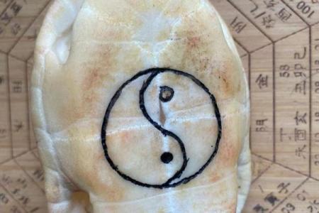 龟背六爻占卜(周易六爻龟壳)