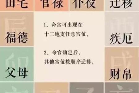 紫微斗数身宫(紫微斗数身宫在哪)