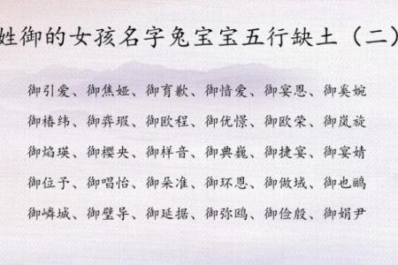 带土的字女孩名字好听(补土最旺的字女孩名)