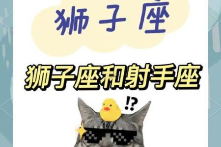 射手男和狮子女配对指数(射手男和狮子女谁更离不开谁)