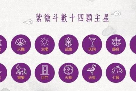 紫微斗数42个格局详解(紫微斗数格局大全含图)