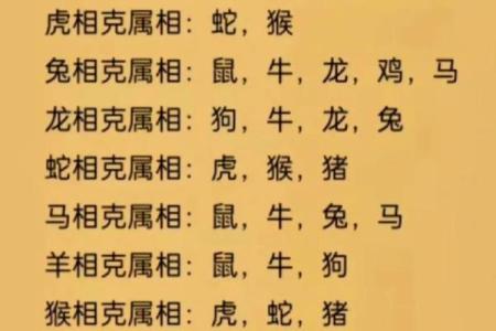属鸡和兔相配婚姻如何(属鸡和兔配吗)
