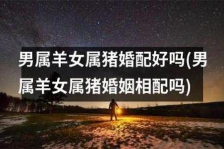 龙猪婚配的婚姻如何(龙男猪女适合做夫妻吗)