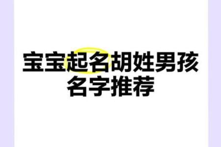胡姓好听稀少的男孩名字(胡姓好听稀少的男孩名字带水)