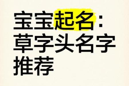 草字头最旺男孩名字(草字头最旺男孩名字三个字)