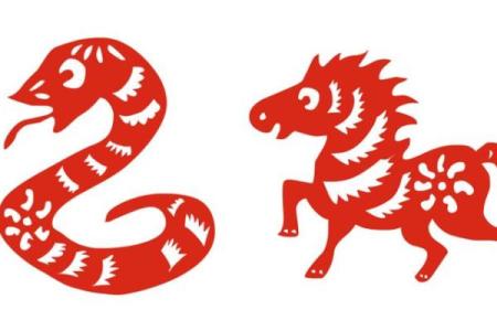 女蛇男马八字合不合(女蛇男马八字合不合婚)