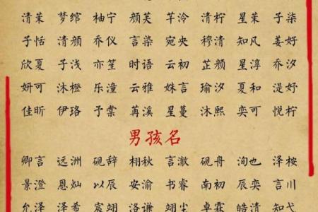 聪明有出息的男孩名字(聪明有出息的男孩名字周)